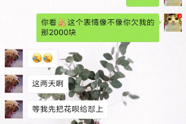 泸西要账公司更多成功案例详情